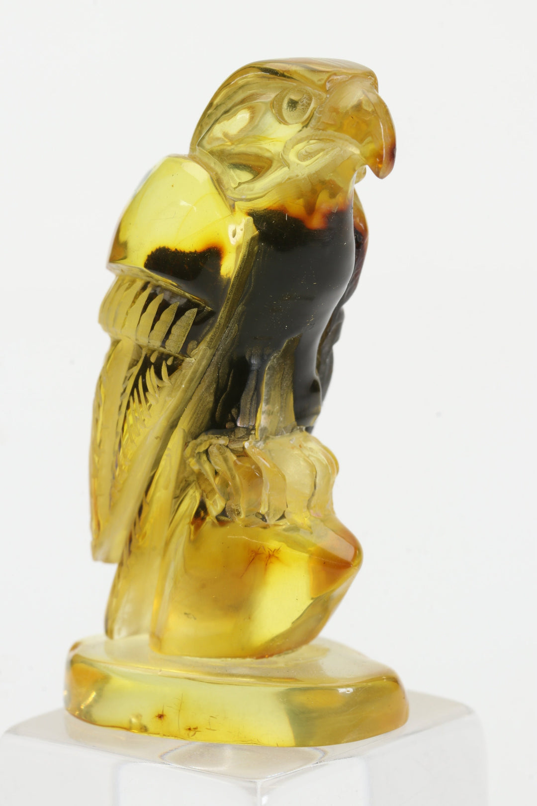 Baltic Amber Hawk Carving TD3998