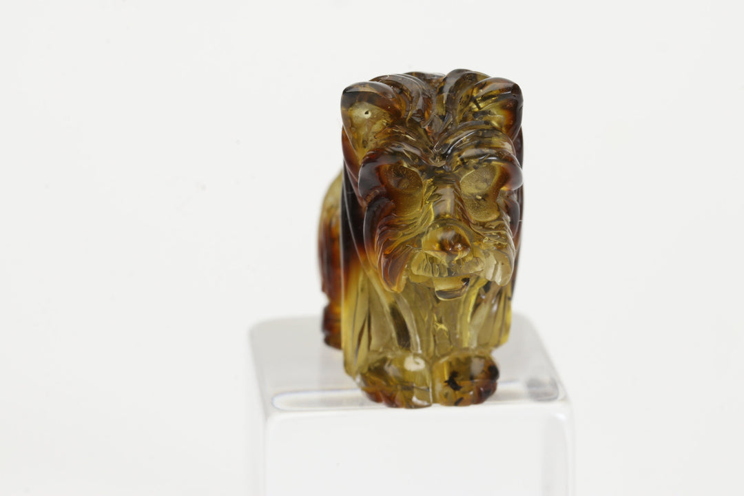 Scottish Terrier Baltic Amber Carving TD4006