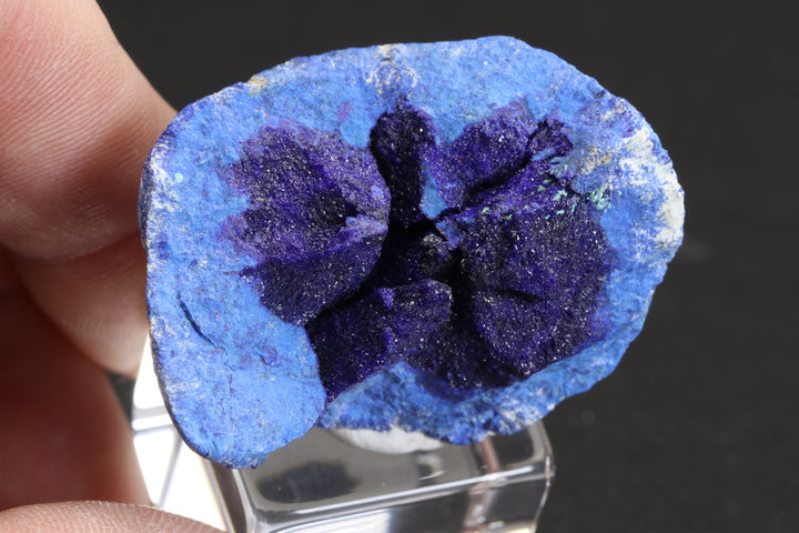 Russian Azurite Geode DM362