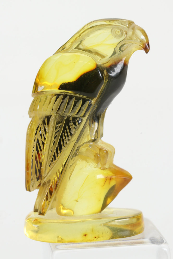 Baltic Amber Hawk Carving TD3998