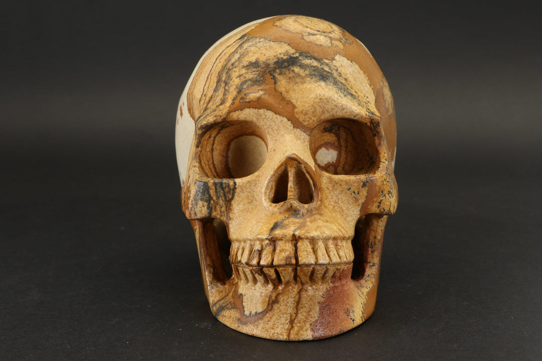 Picture Jasper Skull Carving DD2190