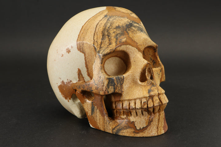 Picture Jasper Skull Carving DD2190