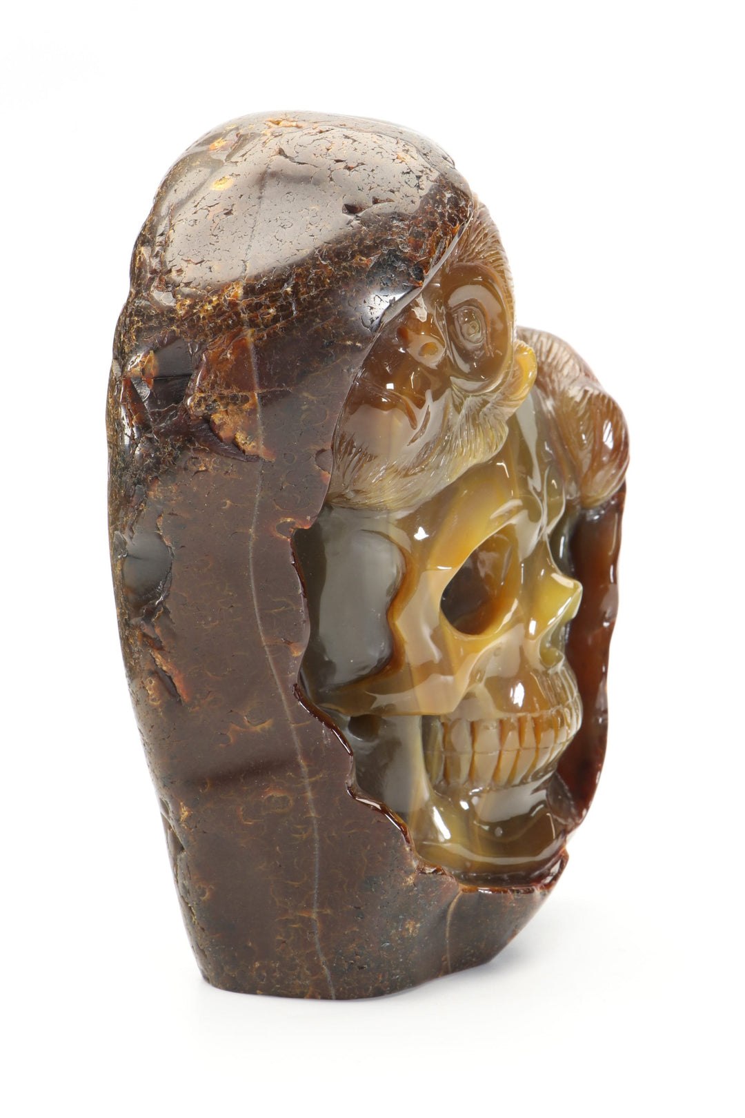 Agate Skull with Monkey Carving DM1197