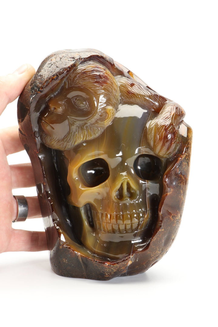 Agate Skull with Monkey Carving DM1197