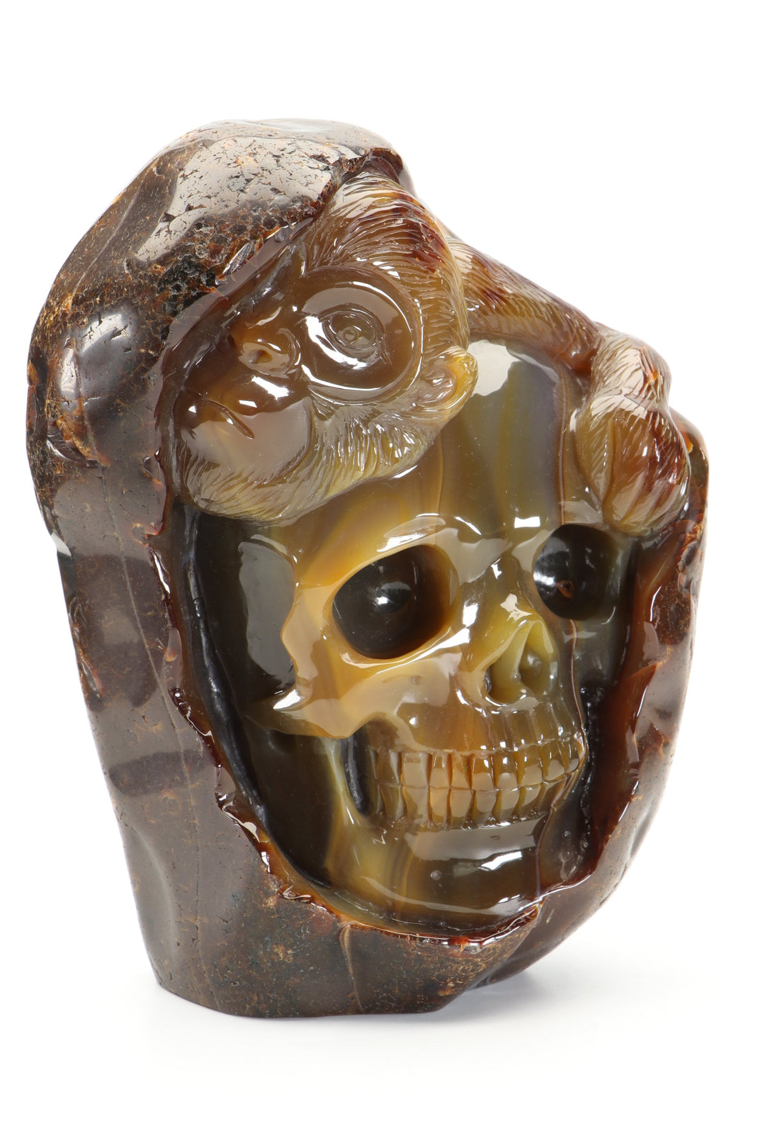 Agate Skull with Monkey Carving DM1197