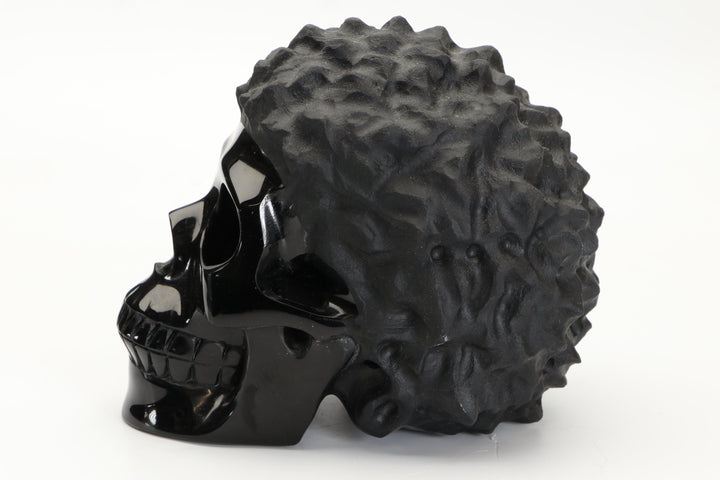 Black Obsidian Crystal Skull with Hair DD3807