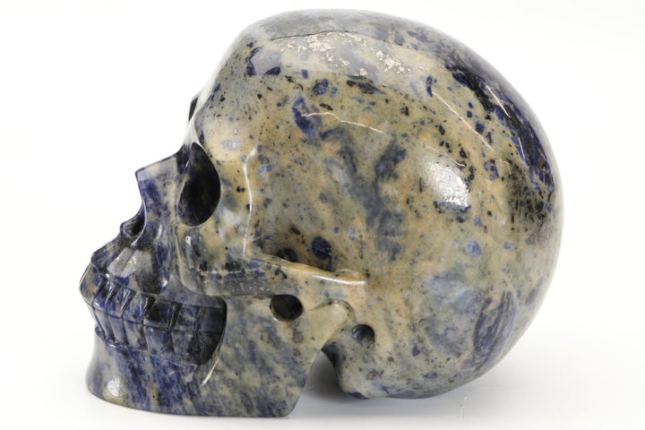 5" Blue and White Sodalite Skull Carving TU2210