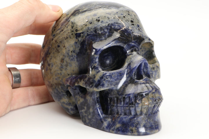 5" Blue and White Sodalite Skull Carving TU2210