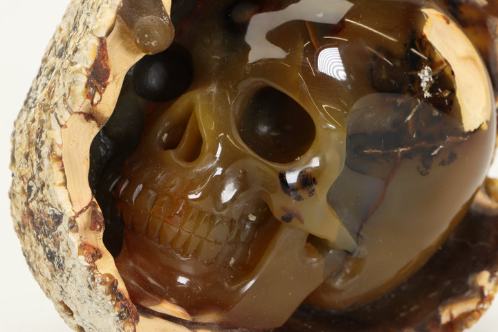 Carnelian Agate Nodule Skull Carving TU2423