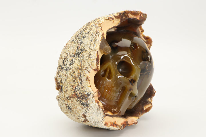 Carnelian Agate Nodule Skull Carving TU2423