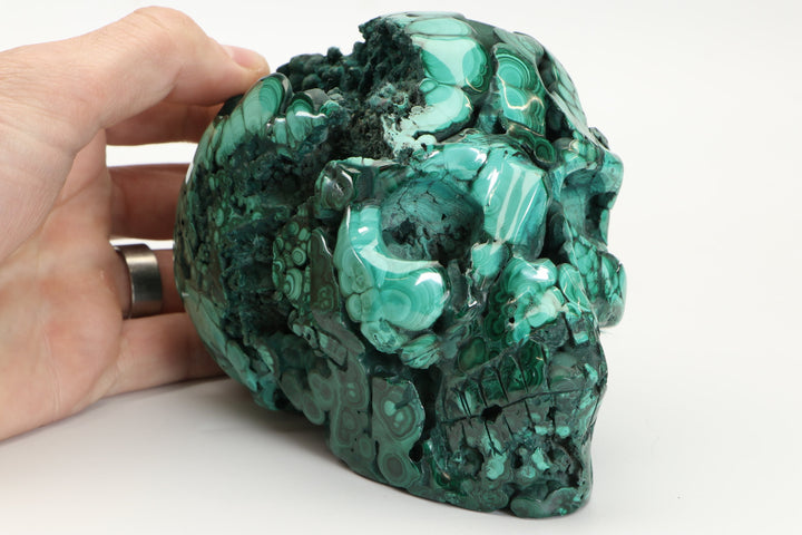 5" Malachite Crystal Skull Carving DM185