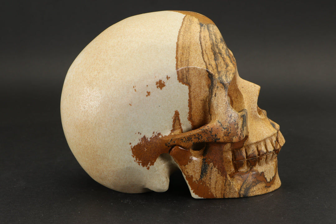 Picture Jasper Skull Carving DD2190