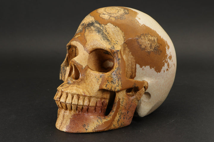 Picture Jasper Skull Carving DD2190