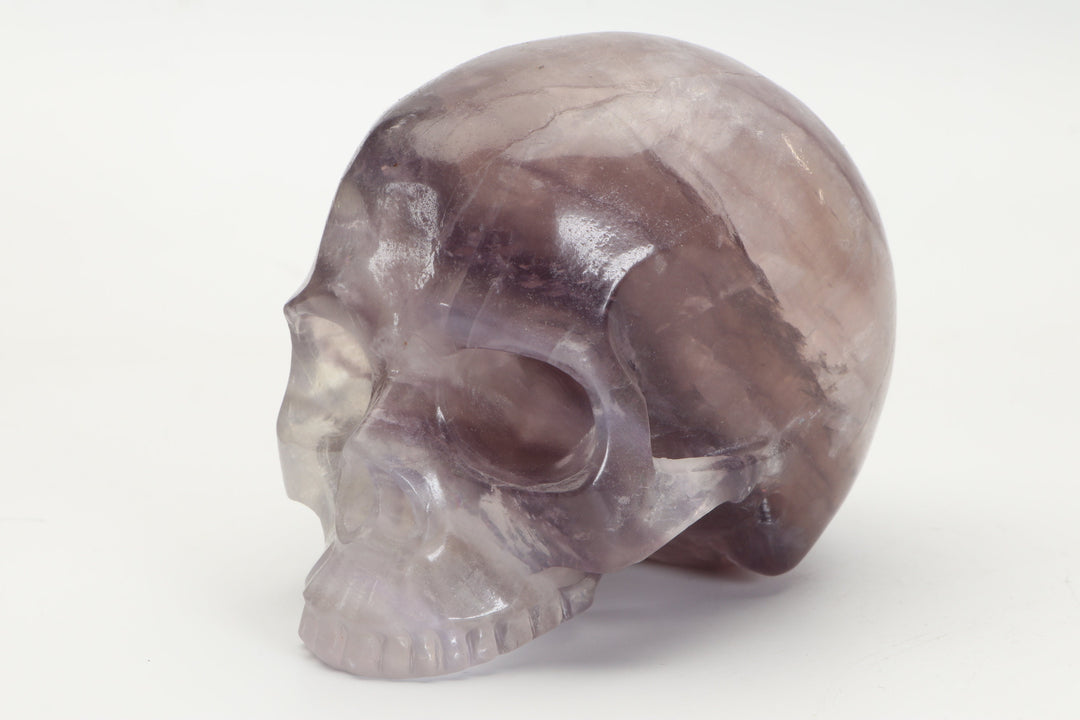 Jawless Purple Fluorite Skull Carving DD3499