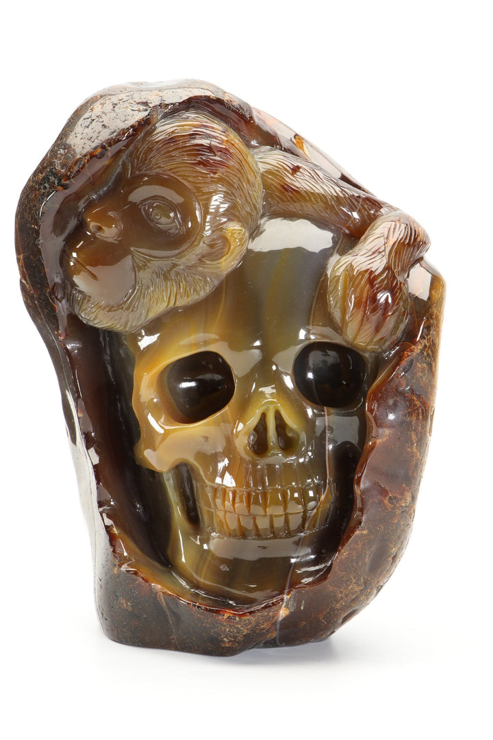 Agate Skull with Monkey Carving DM1197