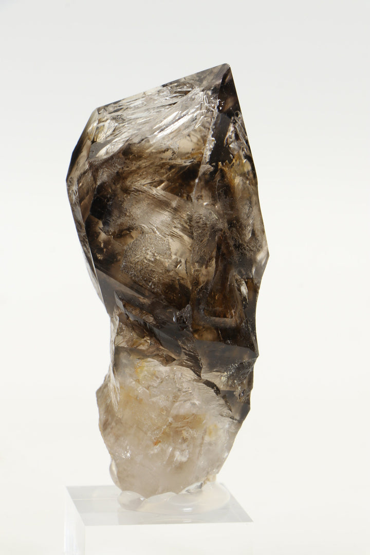 Tanzanian Skeletal Smoky Quartz with Two Moving Enhydros TD1599