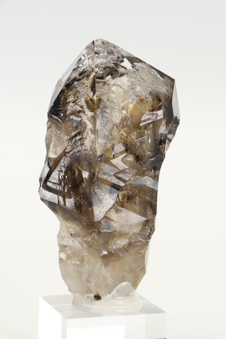 Tanzanian Skeletal Smoky Quartz with Two Moving Enhydros TD1599