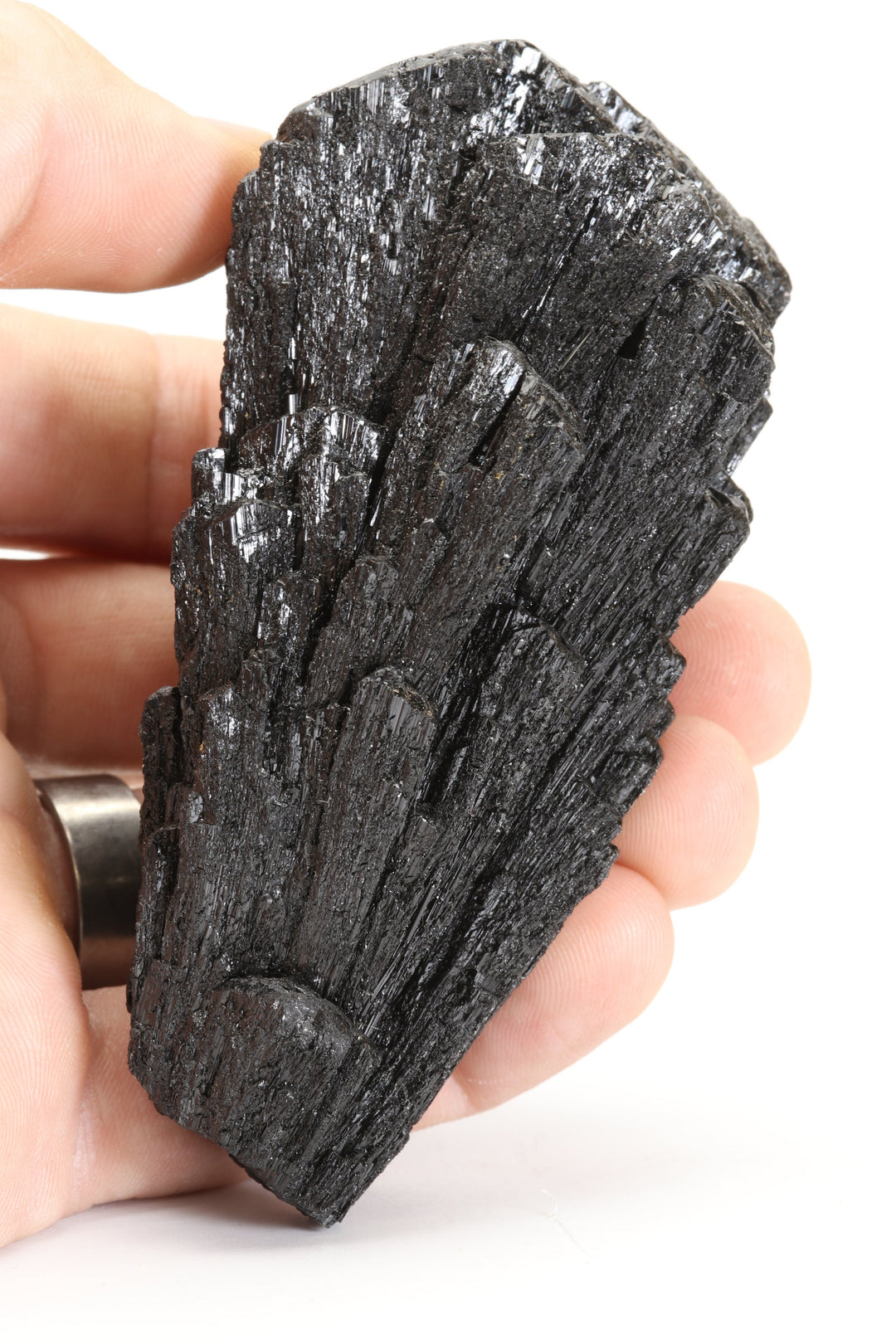 Schorl Specimen - Aracuai, Brazil DX3029