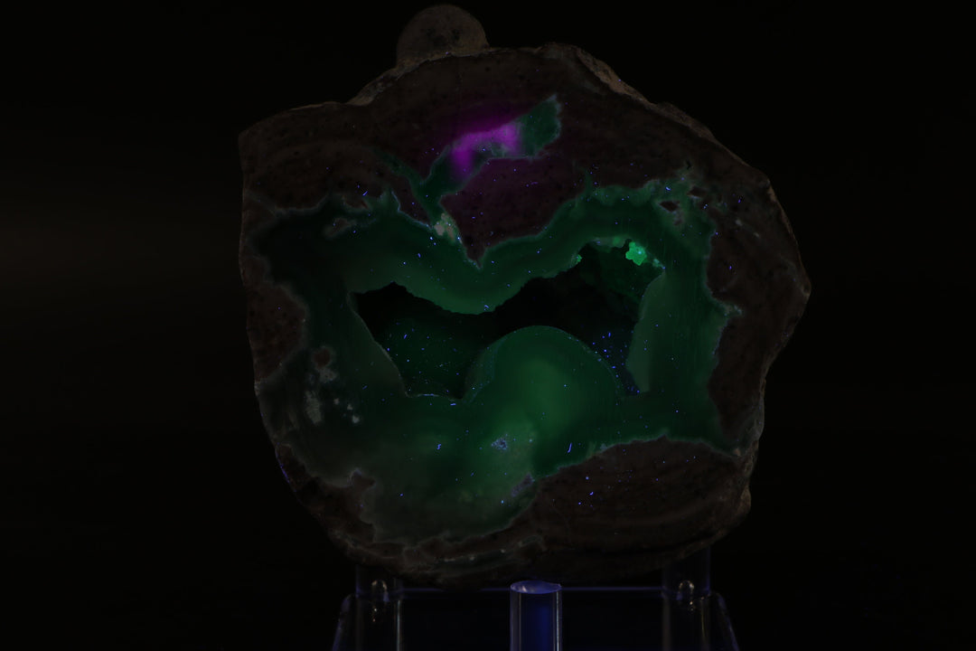 Polished Dugway Geode Half DX231