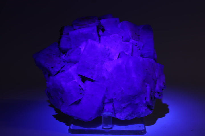 Nigerian Fluorite Specimen DX4277