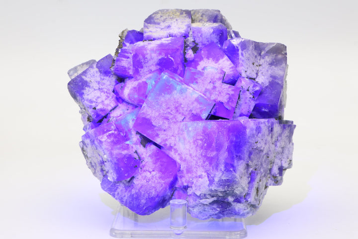 Nigerian Fluorite Specimen DX4277