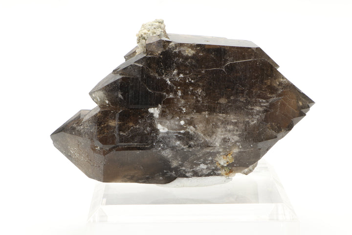 Smoky Quartz Gwindel from Mont Blanc, France DX3442