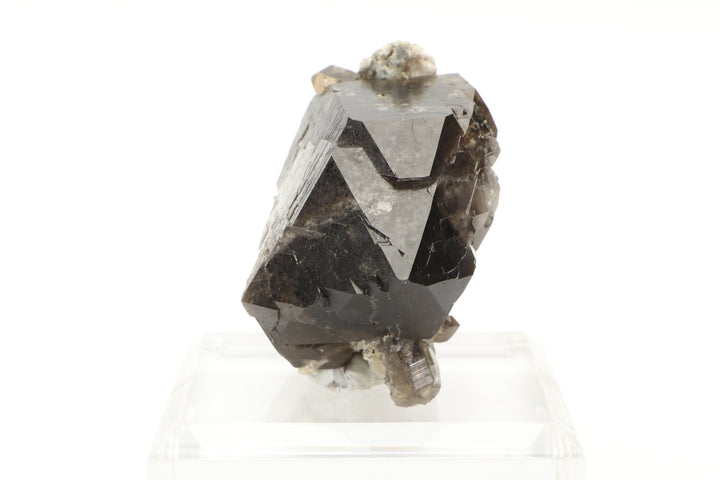 Smoky Quartz Gwindel from Mont Blanc, France DX3442