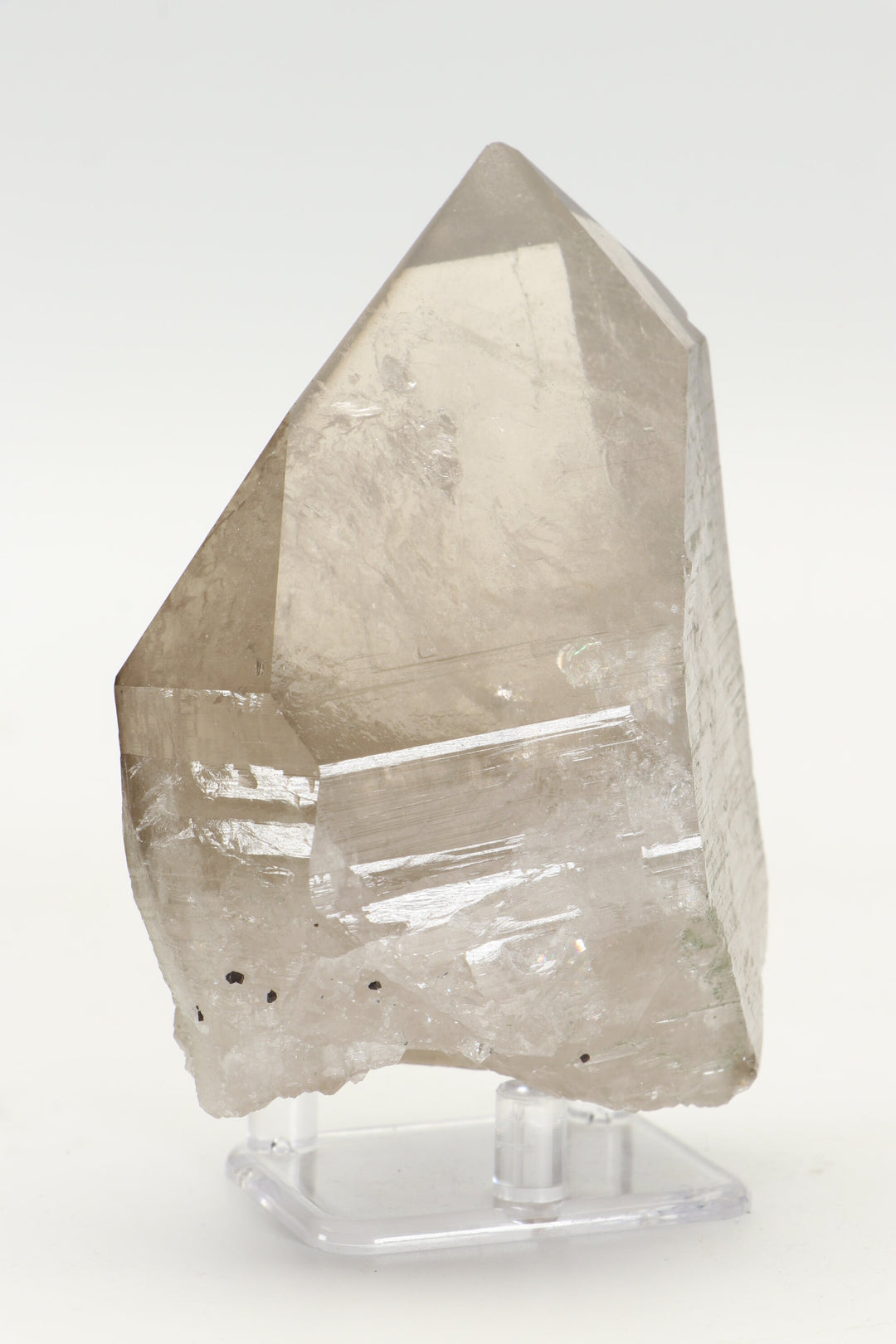 Double Terminated Self Healed Smoky Quartz from Mont Blanc, France TD1589