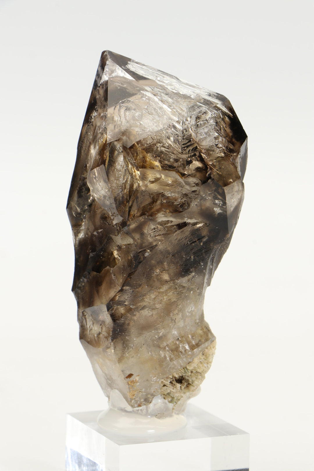 Tanzanian Skeletal Smoky Quartz with Two Moving Enhydros TD1599