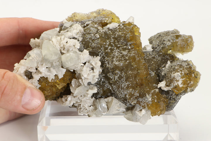 Moscona Mine Spanish Yellow Fluorite Specimen with Calcite and Dolomite TU1019