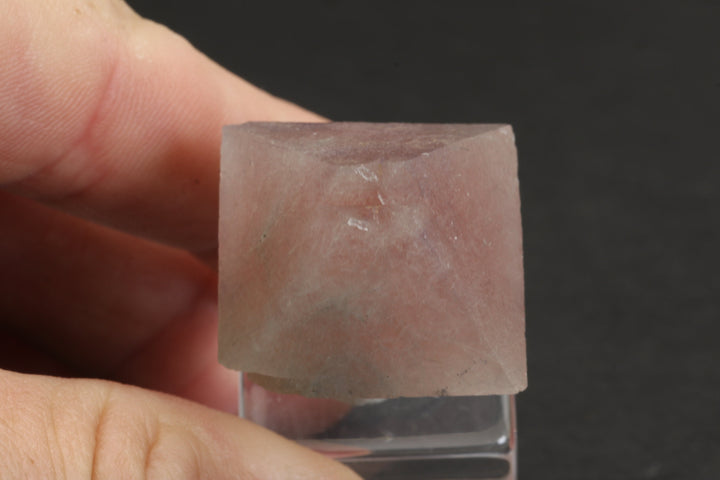 Pink Fluorite with Byssolite Inclusions TD1921