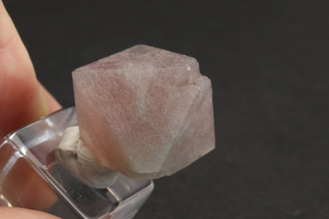 Pink Fluorite with Byssolite Inclusions TD1921