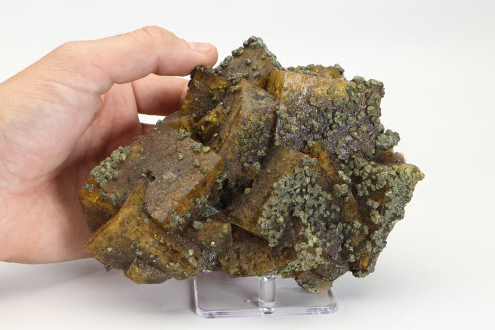 Yellow Fluorite with Chalcopyrite DX3046