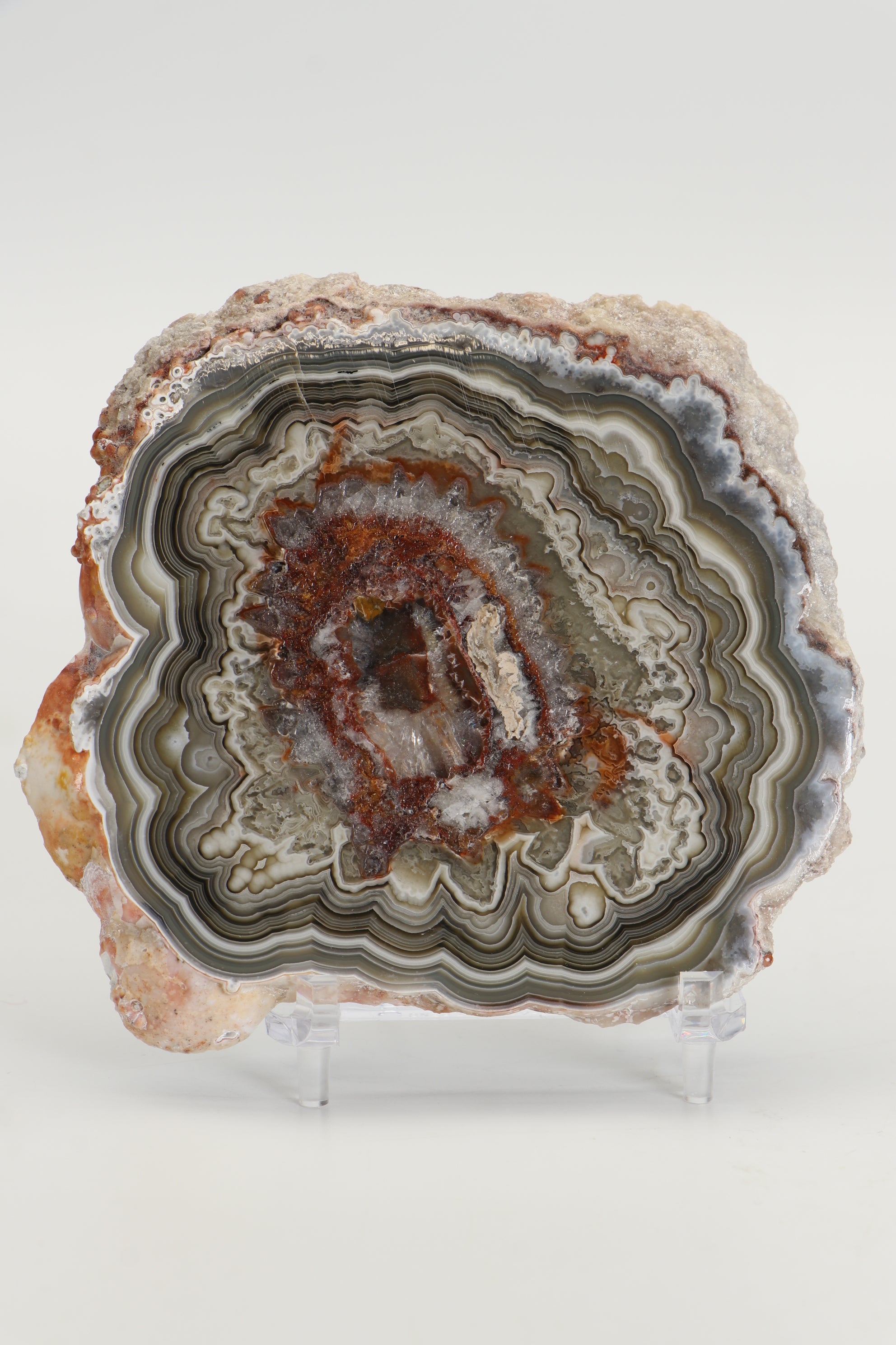 Mexican Crazy Lace Agate Slab DS1019 – Little Lemuria