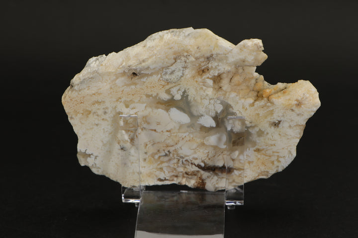 Nydegger Plume Agate - Post, Oregon DX1959