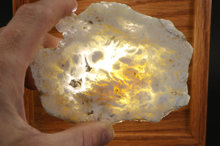 Nydegger Plume Agate - Post, Oregon DX1959