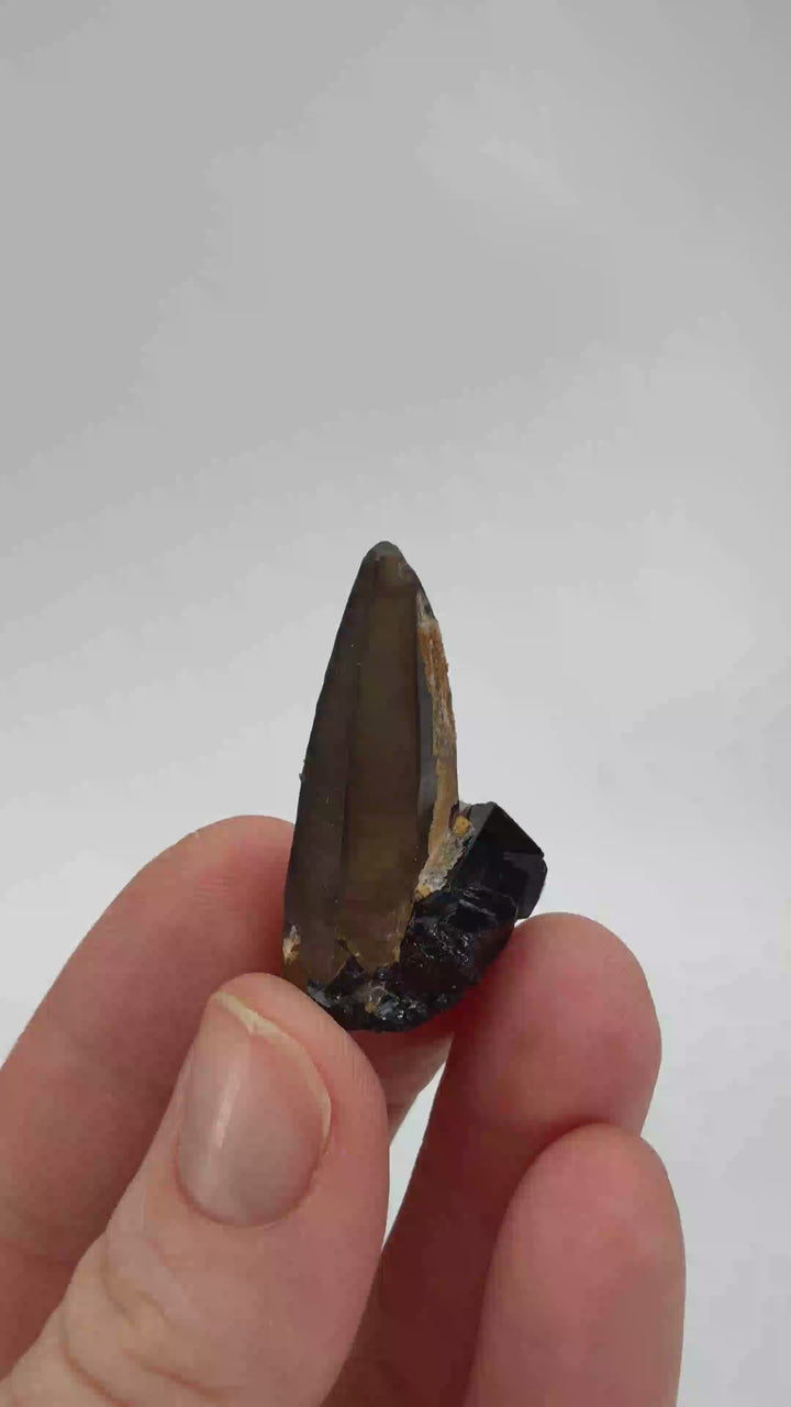 Smoky Quartz on Schorl from Namibia DX3527