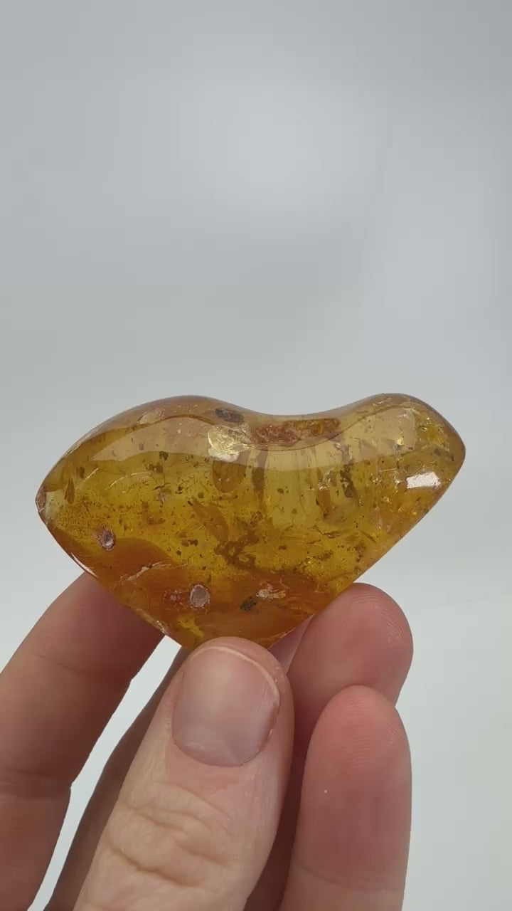 Colombian Copal with Insect Inclusions DX3953