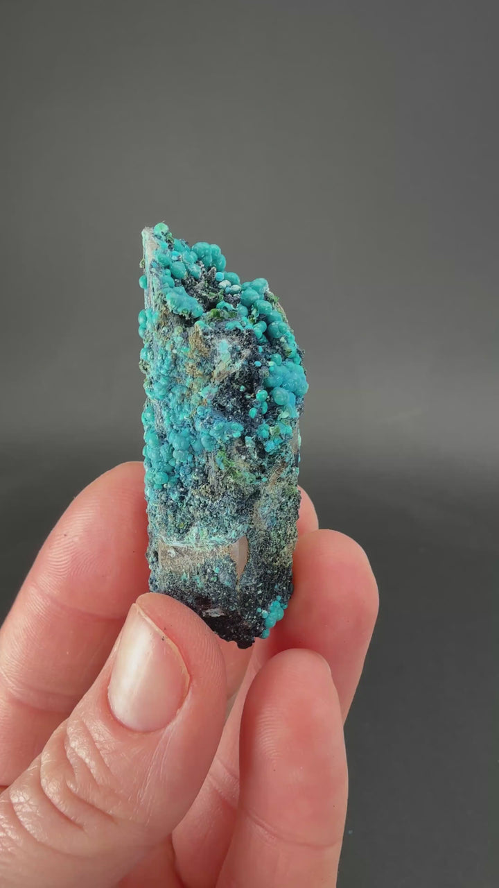 2" Quartz with Chrysocolla from Tentadora Mine DX1533