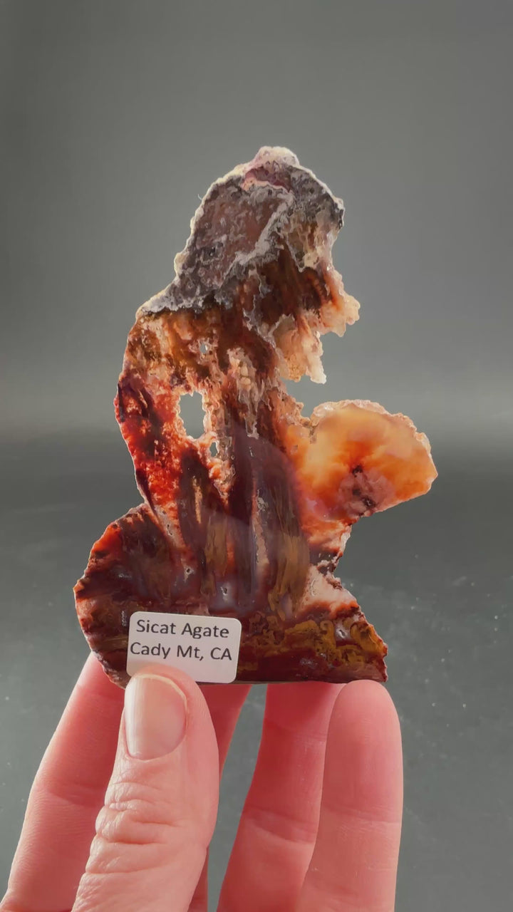 Sicat Agate Slab DS1094