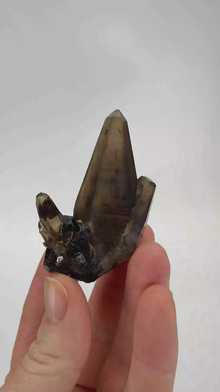 Smoky Quartz on Schorl from Namibia DX3511