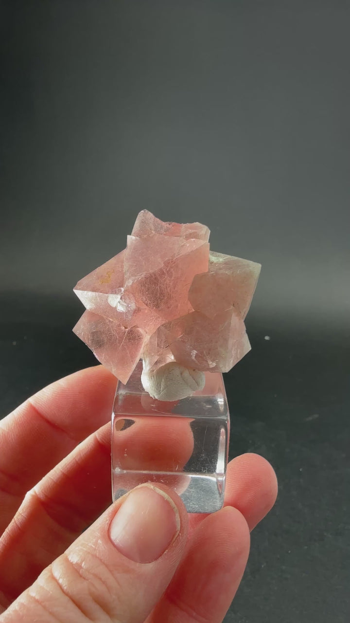 Octahedral Pink Fluorite with Bissolite from Inner Mongolia TD1925