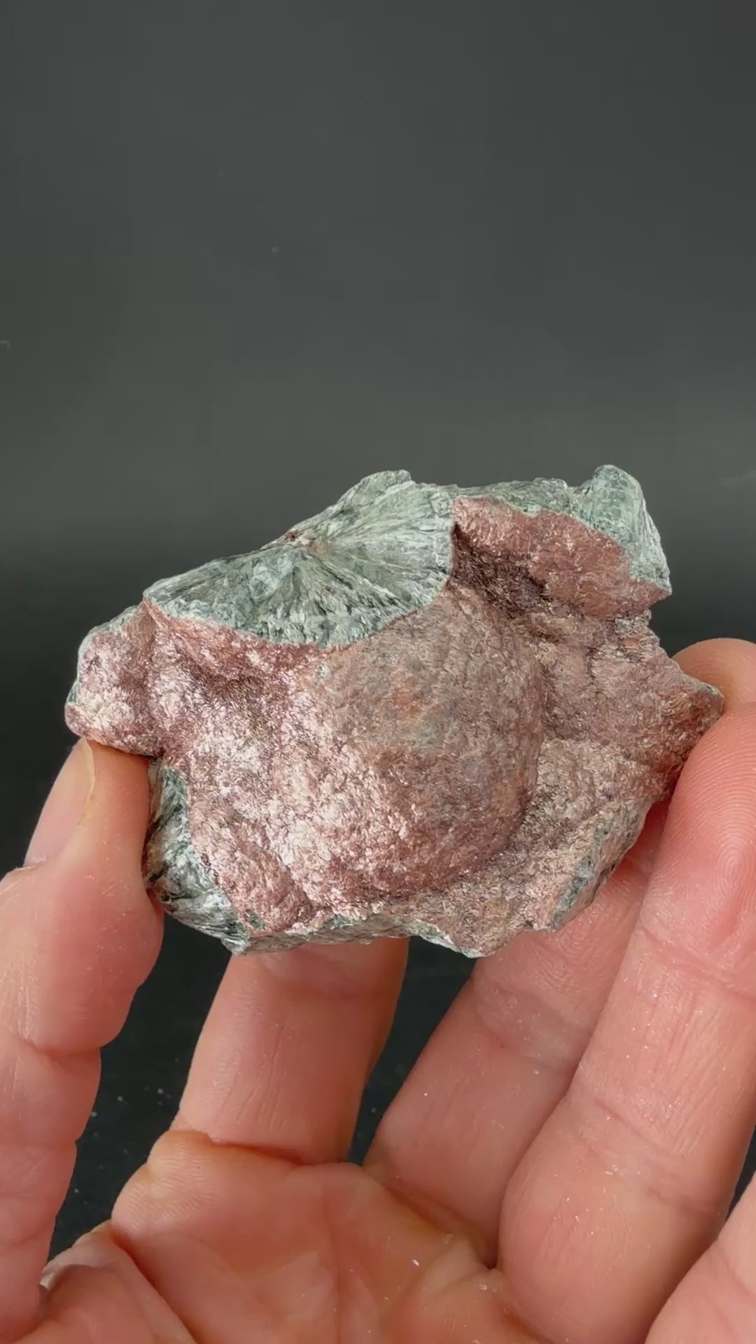 Natural Clinochlore (Seraphinite) Specimen TF3262