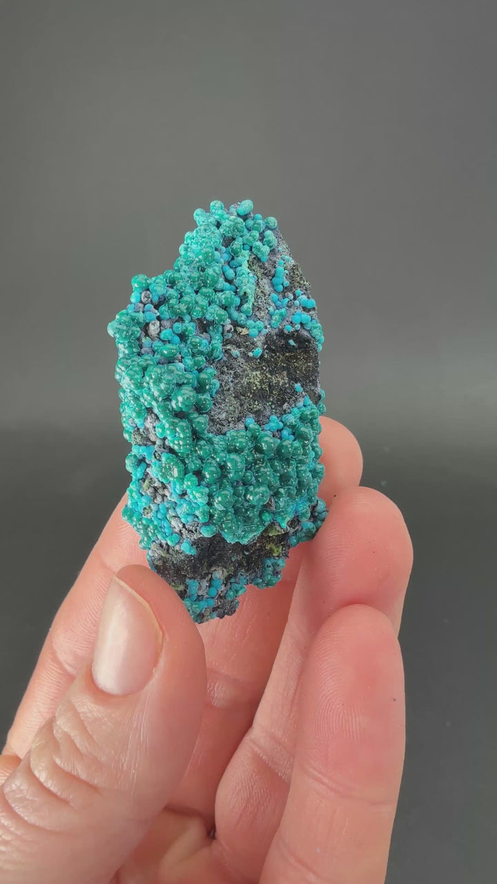 2" Quartz with Chrysocolla from Tentadora Mine DX1554