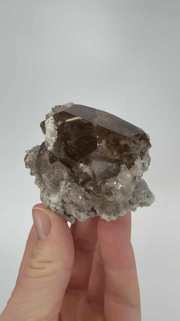 Smoky Quartz Cluster from Mt. Blanc TF282