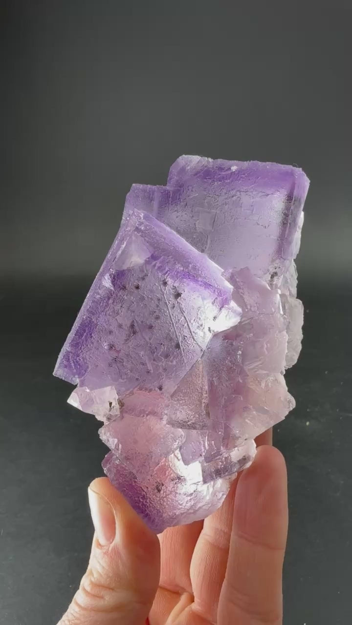 Fluorite from Hastie's Quarry, Illinois TD3976