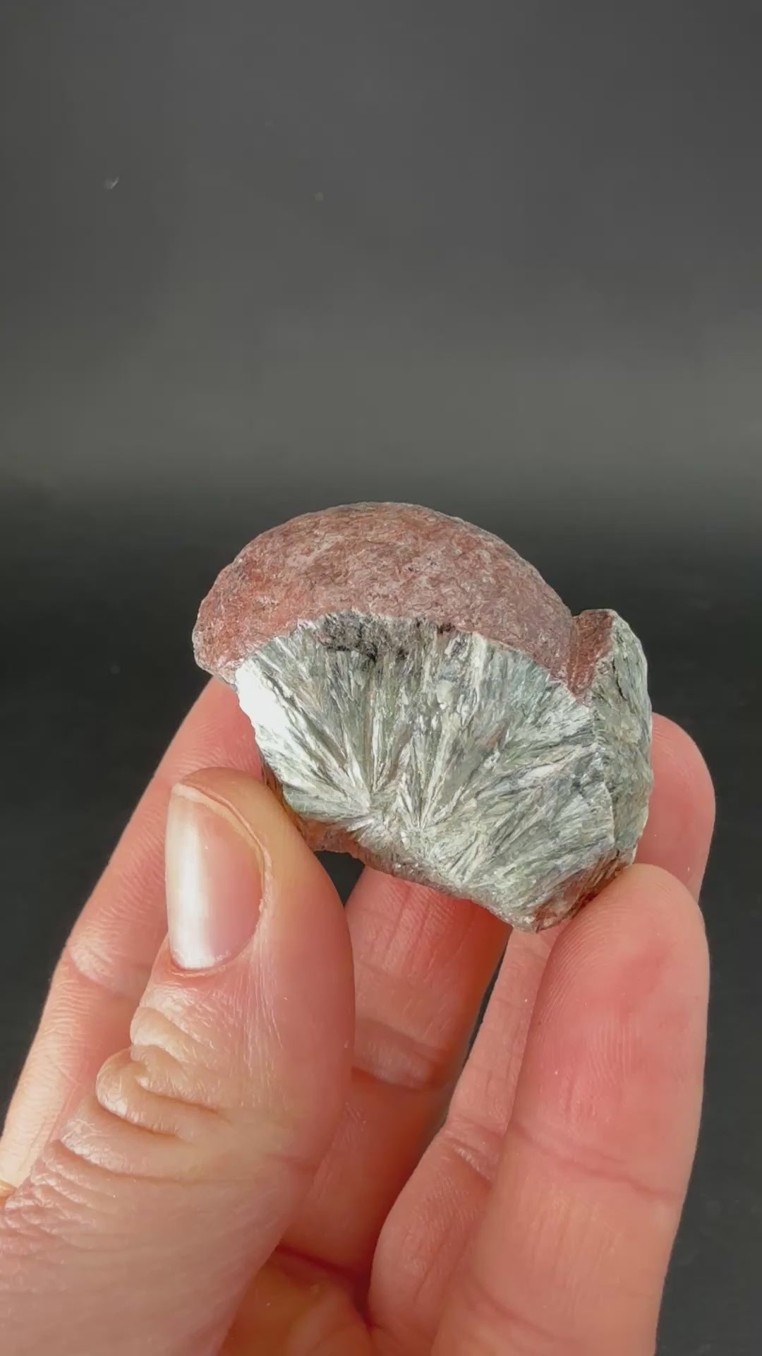 Natural Clinochlore (Seraphinite) Specimen DX1893