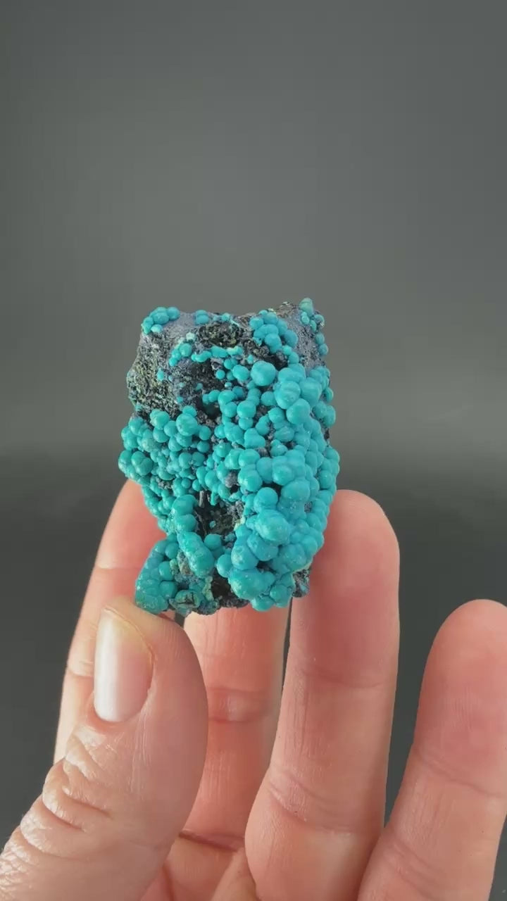 1.5" Quartz with Chrysocolla from Tentadora Mine DX1552