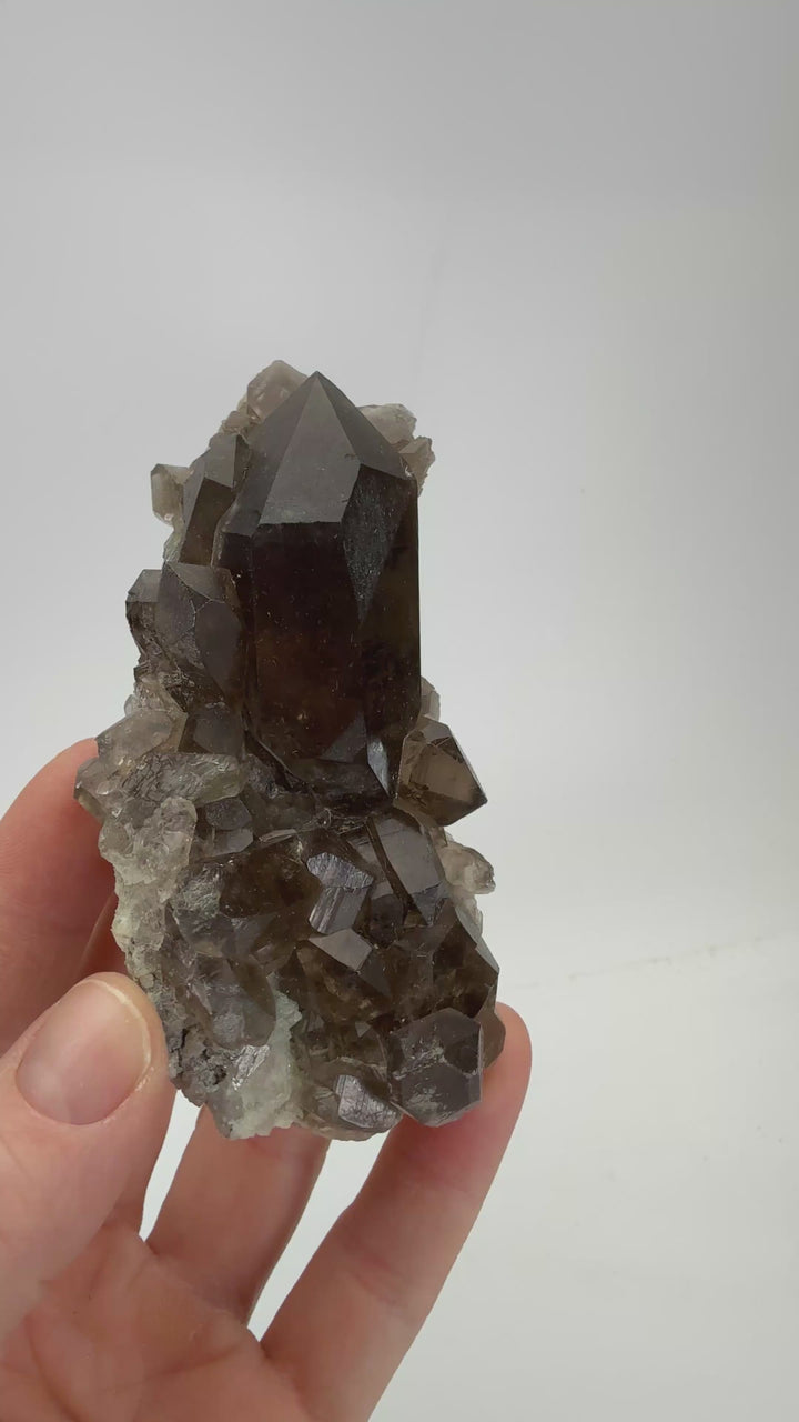Smoky Quartz Cluster from Mt. Blanc TF285