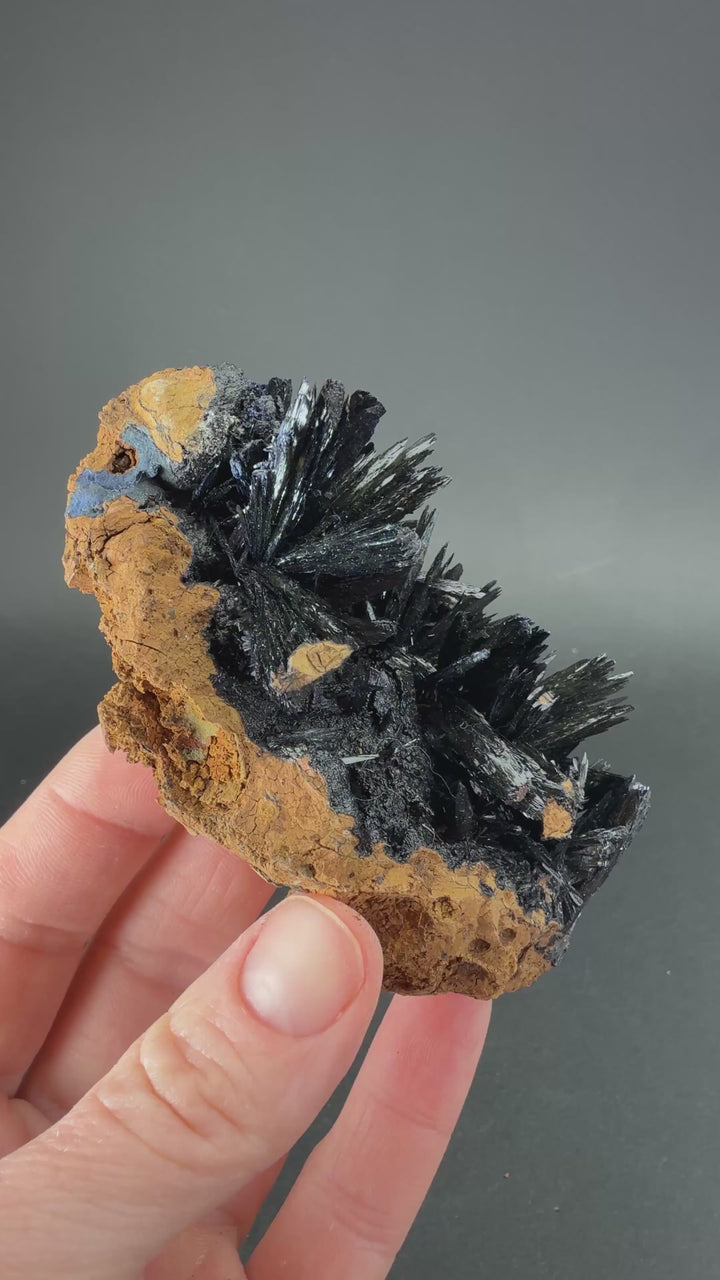 Vivianite Crystal Specimen from Ukraine CL006